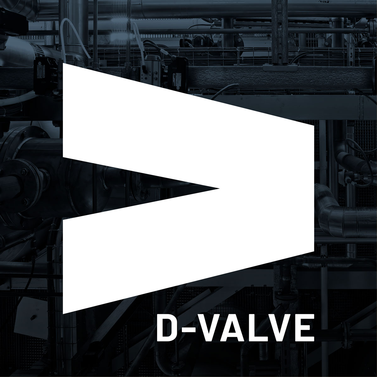 D-Valve